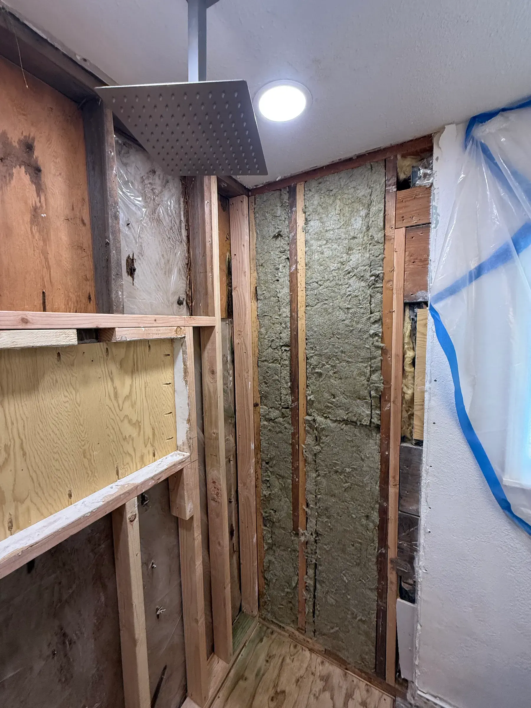 Shower Pan Reconstruction — in progress